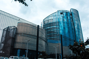 SWP Group Image
